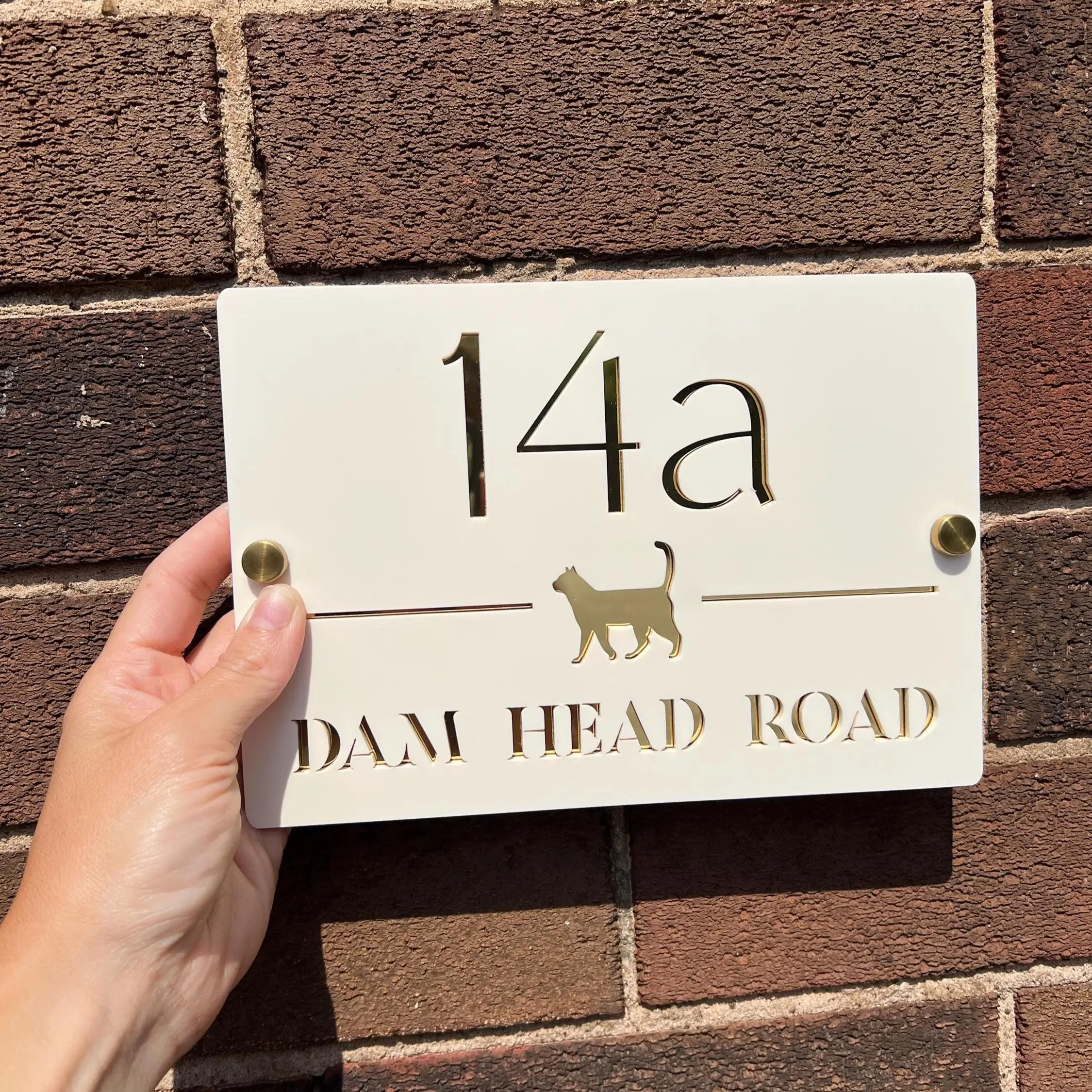 Custom Acrylic House Number Sign, Personalized Cat Address Plaque, Minimalist Front Door Wall Decor, New Home Gift