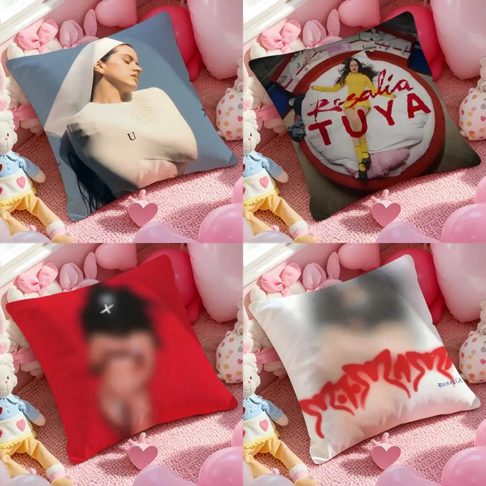 

Чехол для подушки с защитой от пылевых клещей, наволочка с невидимой молнией, шелковистый короткий плюш, чехол для диванных подушек Andreadieznin Spanish