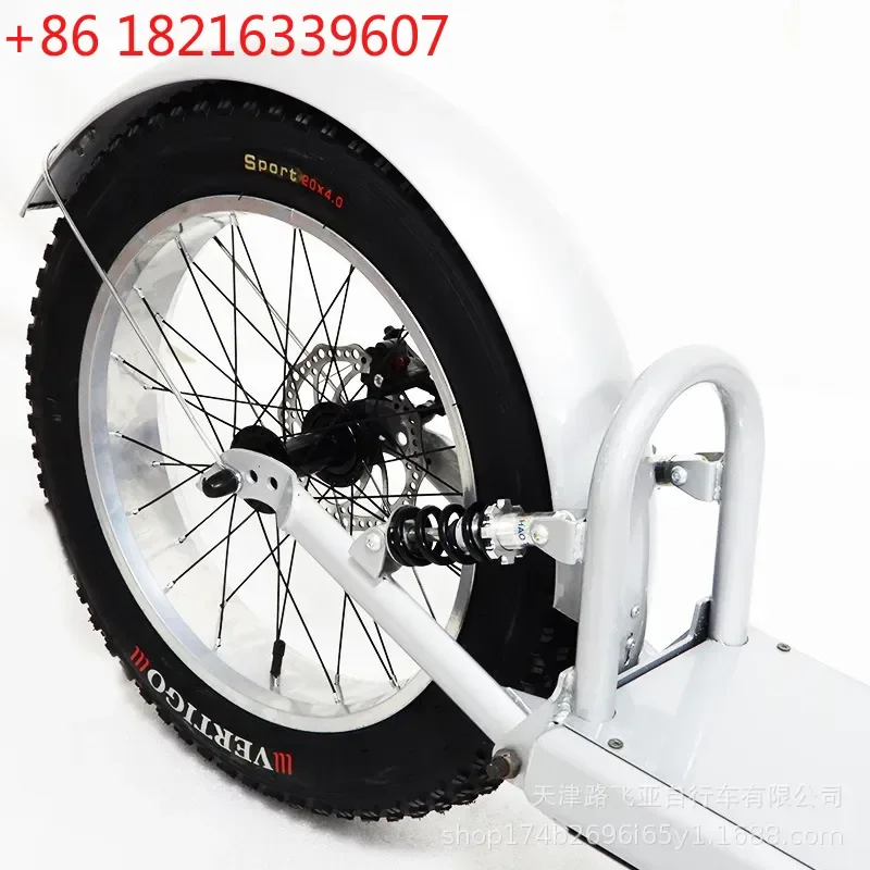 20 Inch Fat Tire Electric Scooter Convertible 4.0 Outer Tire E Scooter for Adults