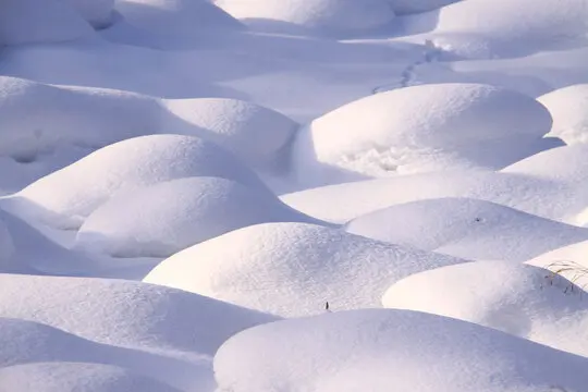 Brazo de suspensión inferior delantero, 2 uds., para Trxs 1/10 4-TEC Drift Mustang 10535 |   Piezas de actualización duraderas |   Fácil instalación