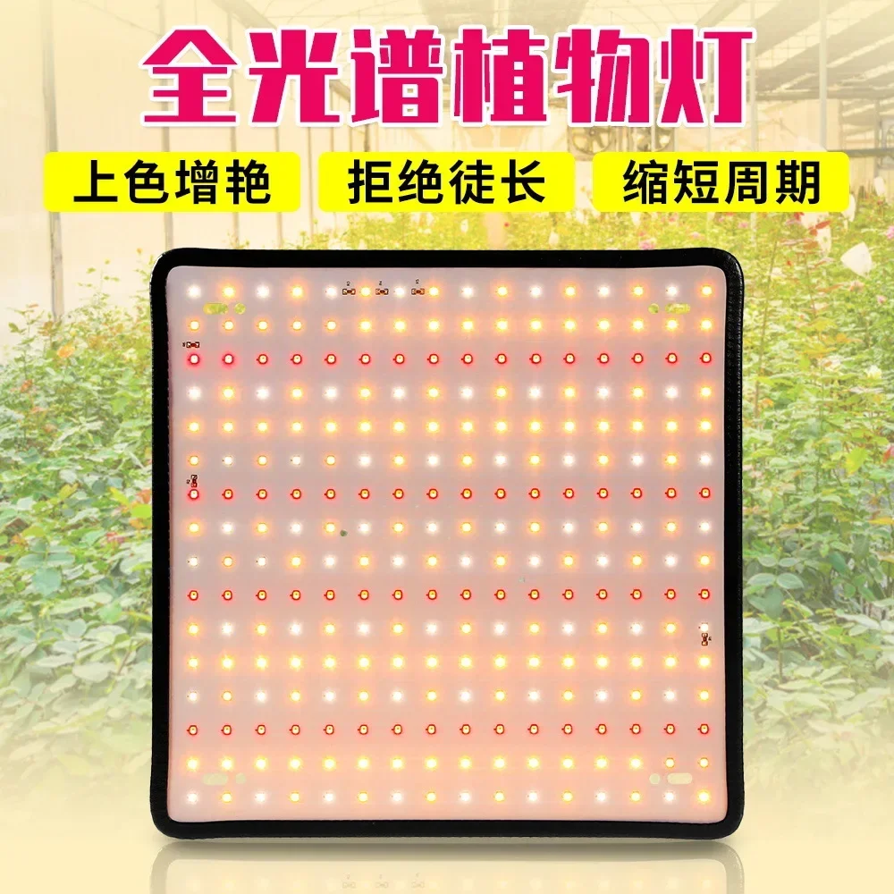 

Indoor Plant Grow Light EU/AU/UK/US Plug Multiple Colors Available Latest Growing Lamps Led Full Spectrum Plant Bulb Greenhouse