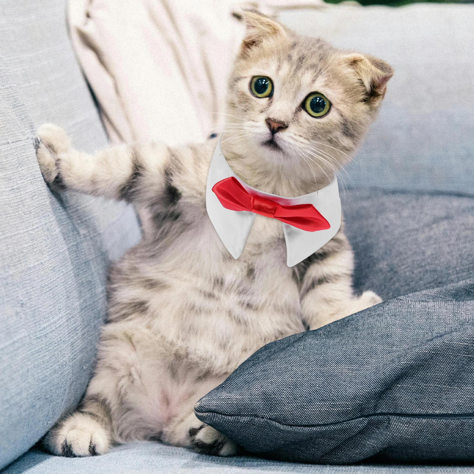 

Adjustable Pet Collar S Size Tuxedo Bow Tie Dog Cat Necklace Birthday Gift Portable Kitten Collar Outdoor Supplies