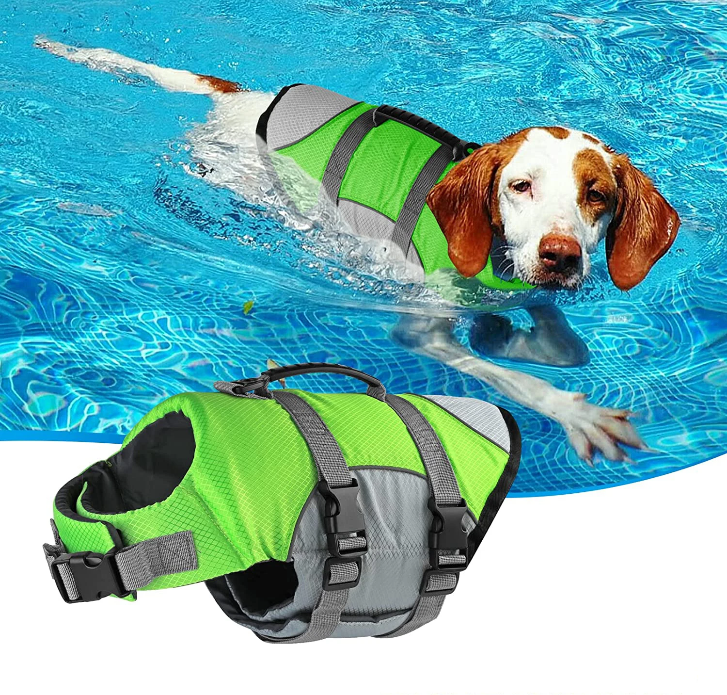 Güvenlik Köpek Hayat Kemerleri: Güvenli Su Oyunları İçin En İyi Seçim Nasıl Yapılır?