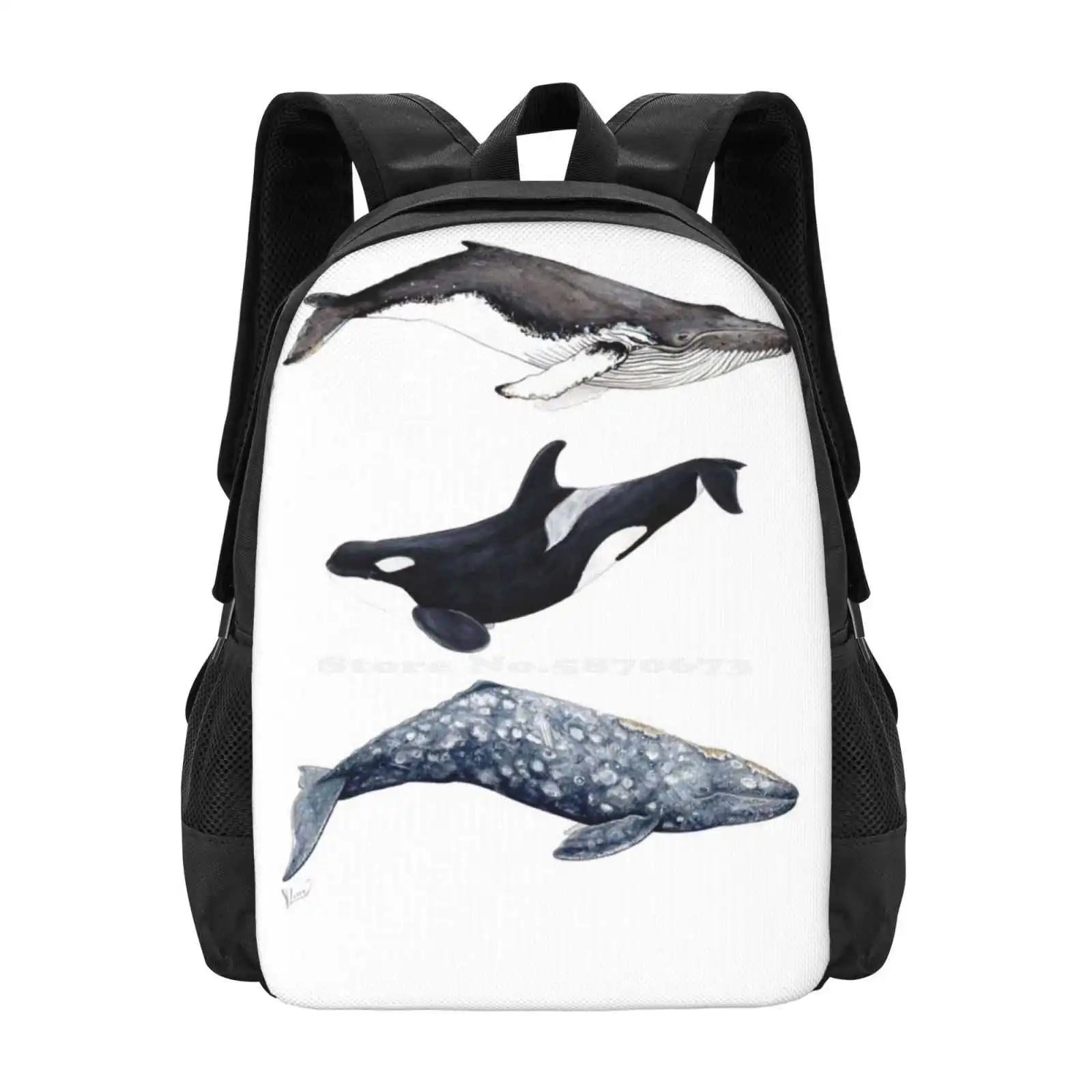 Orca , Humpback And Grey Whale Teen College Student Backpack Pattern Design Bags Orcas Killer Whales Dolphins Orcinus Orca