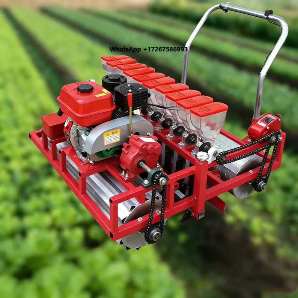 BIRUI NEW 6 Rowl/Petrol Engine Vegetable Planter Seeder with Gear for Farm Use High Productivity