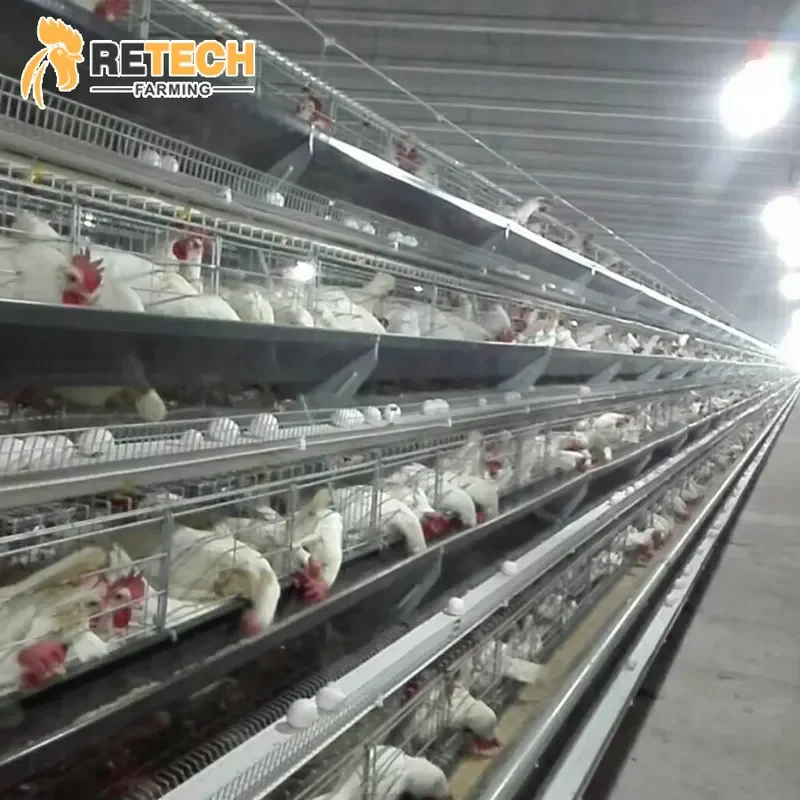 

Best Sale Battery Cage for Laying Hens Egg Layer Chicken Poultry Farm Equipment
