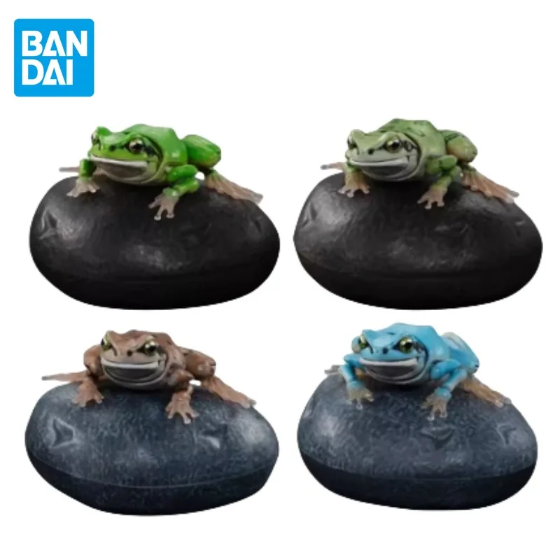 

Bandai Gashapon Biographical Encyclopedia Original Anime Figure Tree Frog Kids Toys Collectible Ornaments Gift Joints Movable