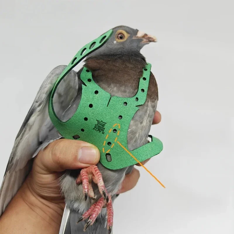 Parrot Pigeon Harness And Leash Flying Anti-bite Traction Rope Straps Bird Training Outdoor Carrying Adjustable Bird Pet Product