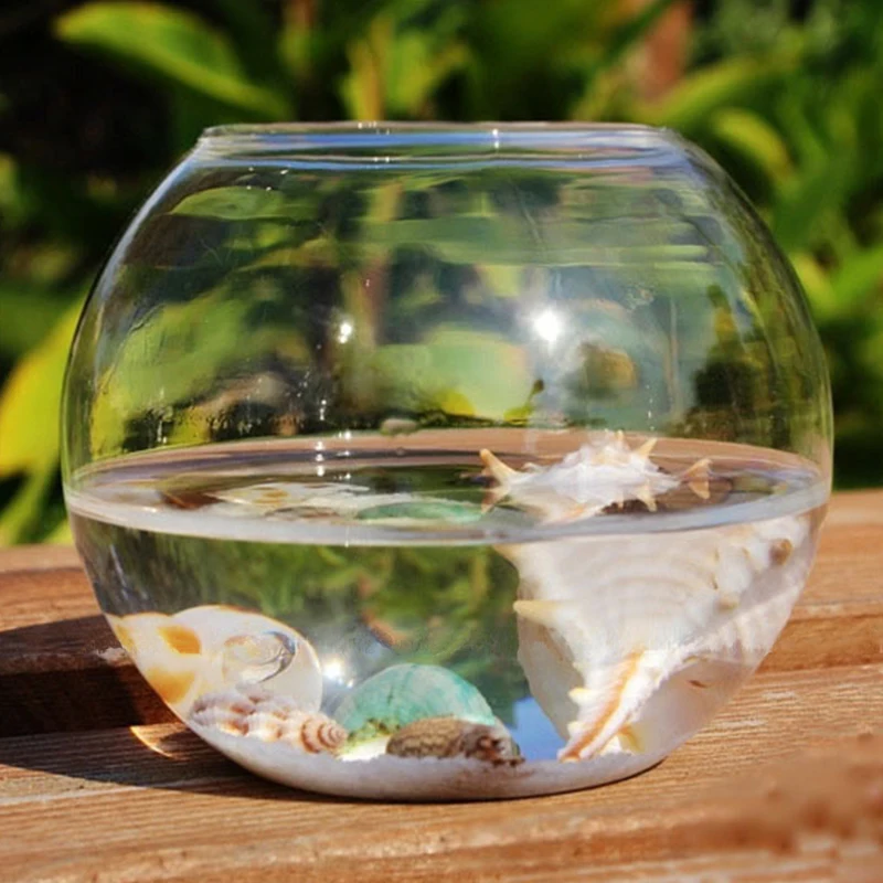 8/10/12cm Simple Round Ball Vase Round Glass Fish Tank Transparent Hydroponic Vase Micro Landscape Moss Ecological Bottle