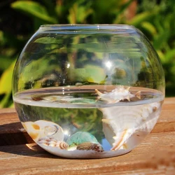 8/10/12cm Simple Round Ball Vase Round Glass Fish Tank Transparent Hydroponic Vase Micro Landscape Moss Ecological Bottle