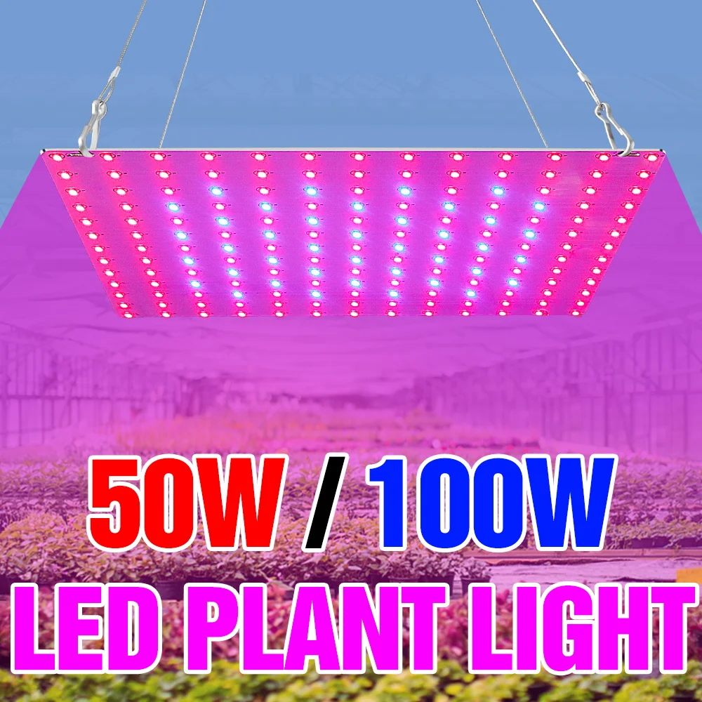 

Светодиодные фитолампы полного спектра 100 Вт, 220 В, Quantum Board, для выращивания растений, теплиц, фруктов, овощей, цветов, дополнительное освещение