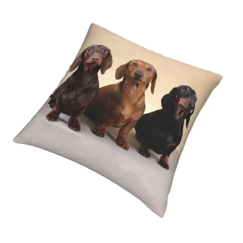 Dachshund Pillow Cover Home Decor Badger Sausage the Wiener Dog Cushion Cover Throw Pillow for Living Room Double-sided Printing