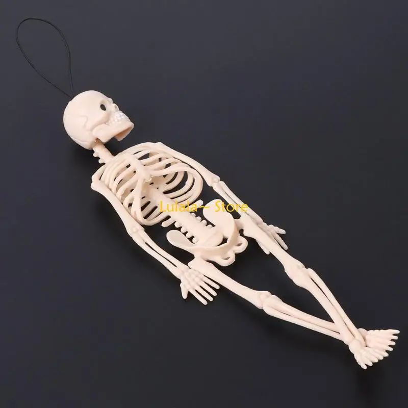 Y4QA 7.87x1.77In Étude décorative Figurine Bibliothèque à maison Décoration Horreur Halloween Skeleton Decor fantôme pour les