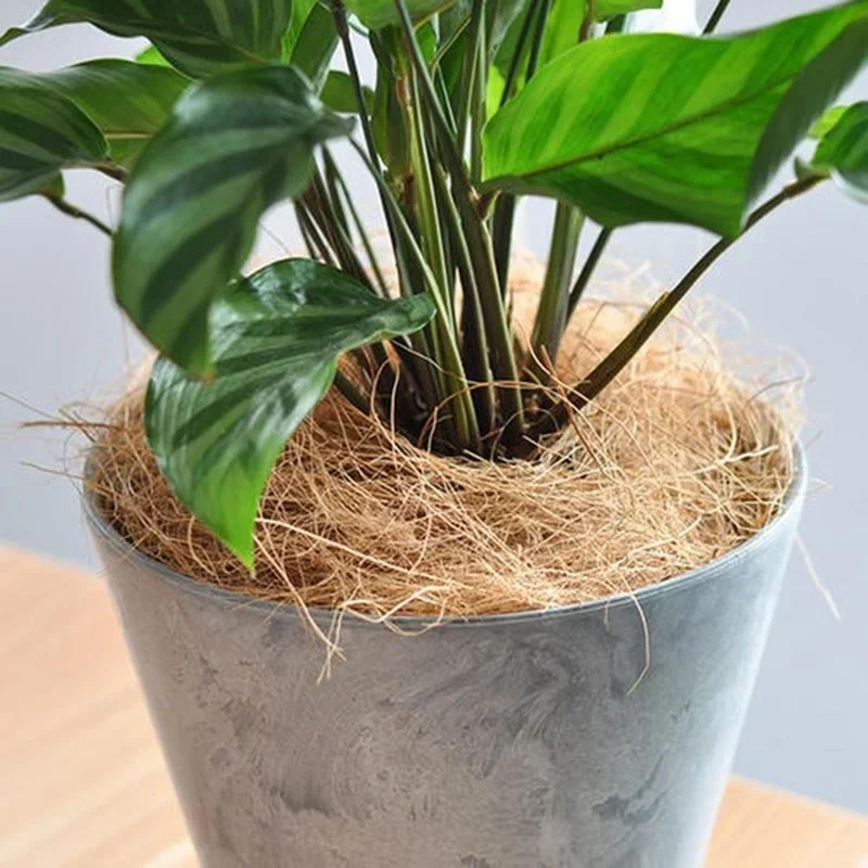 Copertura del vaso di fiori in fibra di buccia di cocco naturale a prova di insetto proteggi il terreno della pianta del fiore del giardino mantieni