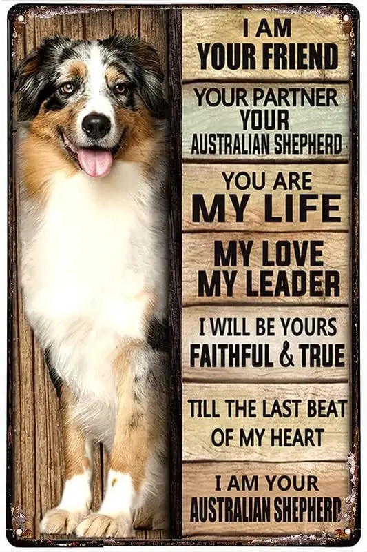 Licpact Australian Shepherd Dog I Am Your Friend Dog Metal Tin Sign Wall Art Gift For Dog Lovers Home Decor Thanksgiving Ch sign