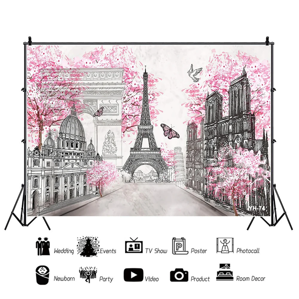 France Paris Eiffel Tower Photo Background Pink Flower Roses Ooh La La Black White Stripes Girl Lady Birthday Party Decor Banner