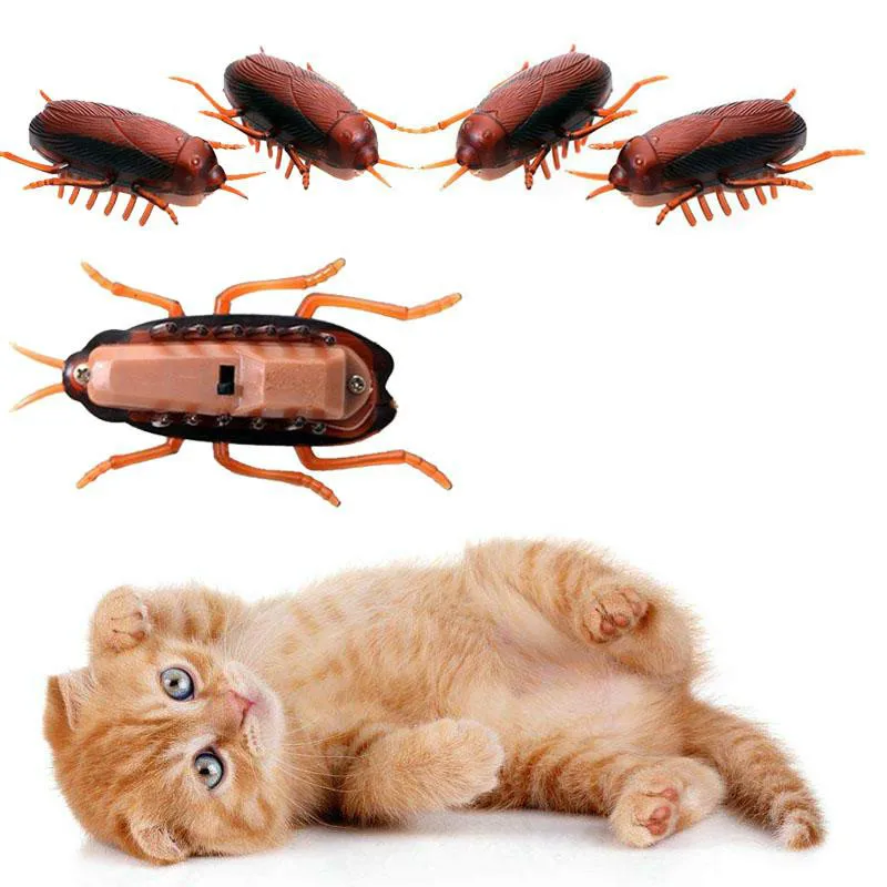 Funny Electronic Pet Interactive Play Toy For Cats Eletric Running Cockroach Pet Dog Cat Interactive Toy Battery Powered