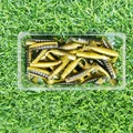 XZ018 50PCS 02