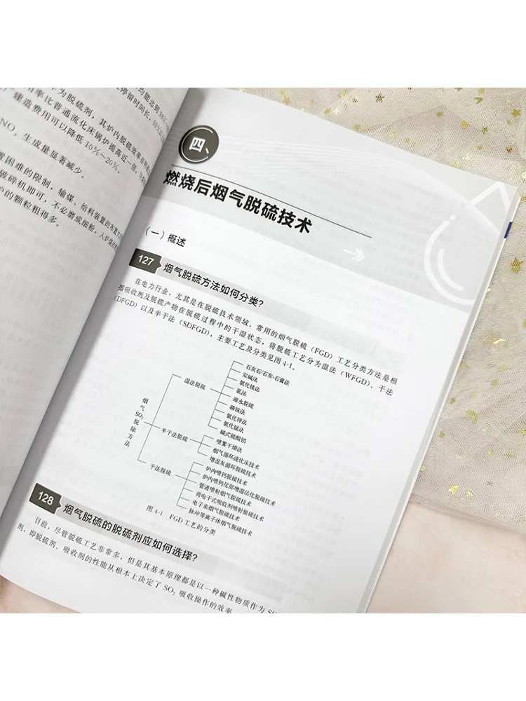 Immagine 6: Tecnologia Industriale di Desolforazione e Denitrificazione Book-Winshare