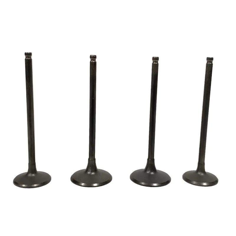 Accesorios para Motocicletas, Válvula para Italika Vort-x300 300r Vortex 300, Sello de Aceite