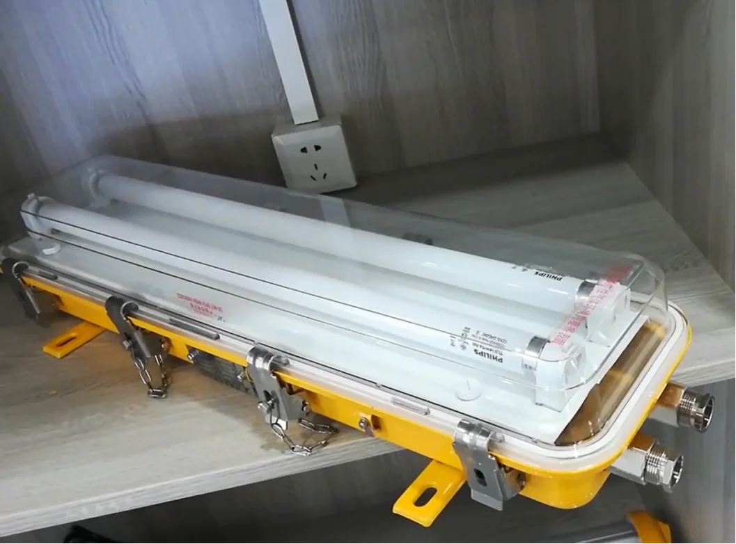 CFY21-2 2*20W Marine Boat Explosion Proof IP66 Fluorescent Explosion-Proof Pendant Light For Chemical Industry