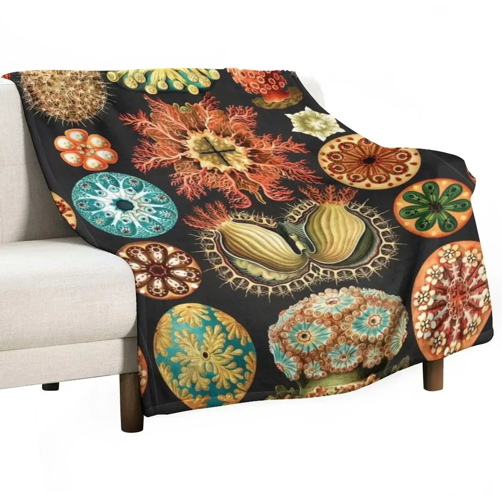 

Artforms in Nature by Ernst Haeckel Throw Blanket Single anime Picnic Sofa Throw Blankets