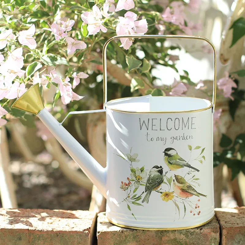 Wrought iron watering kettle Long mouth watering pot Household high value succulent watering kettle Gardening tools Large capaci