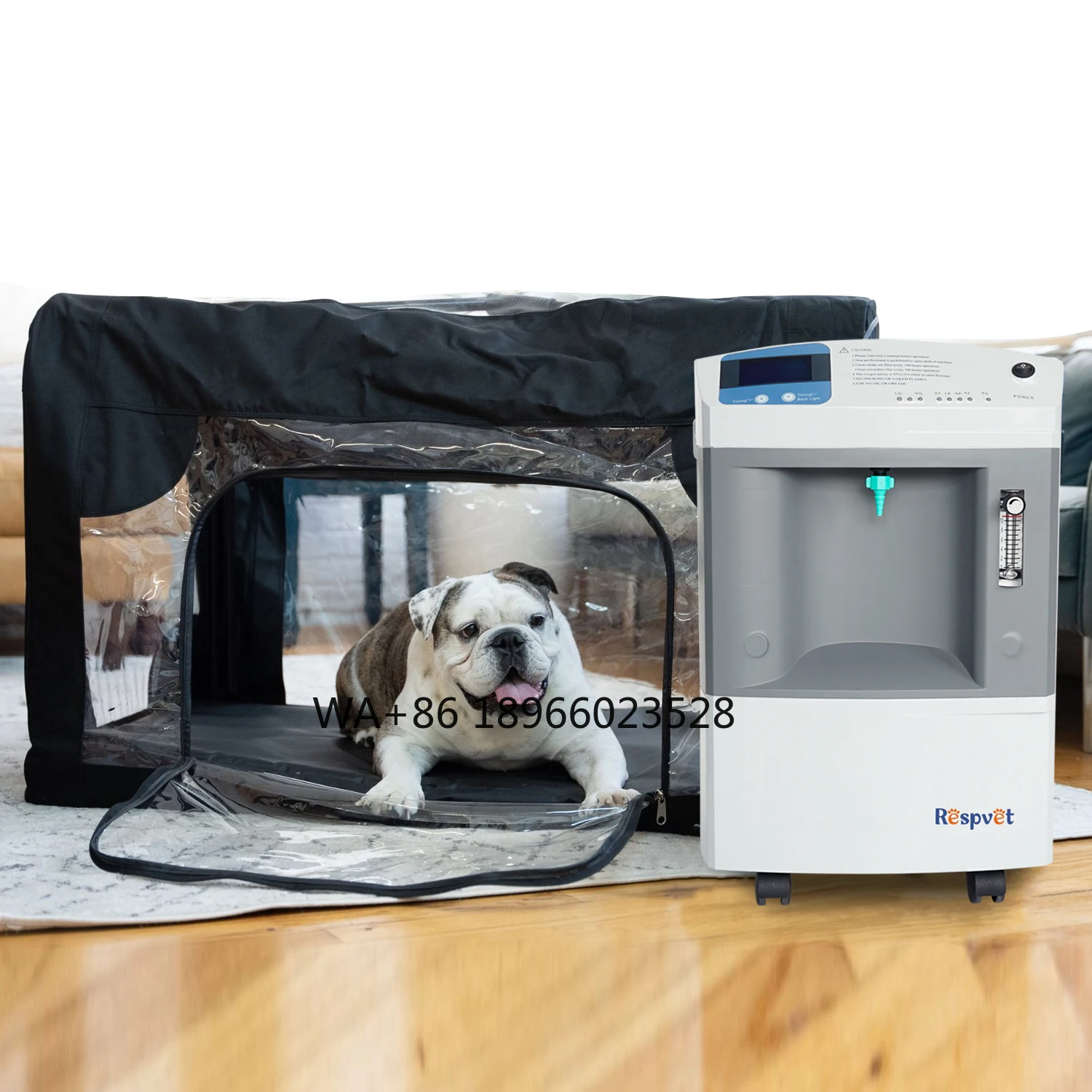 Use For Small Animals JAY-10 Veterinary oxygen- Concentrator