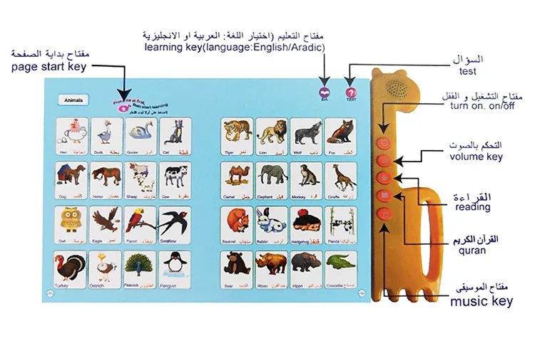 Arabisch Engels Leespuntboek Multifunctioneel Leren E-boek voor kinderen Fruit Dier Cognitieve Dagelijkse Duaas voor moslimkinderen