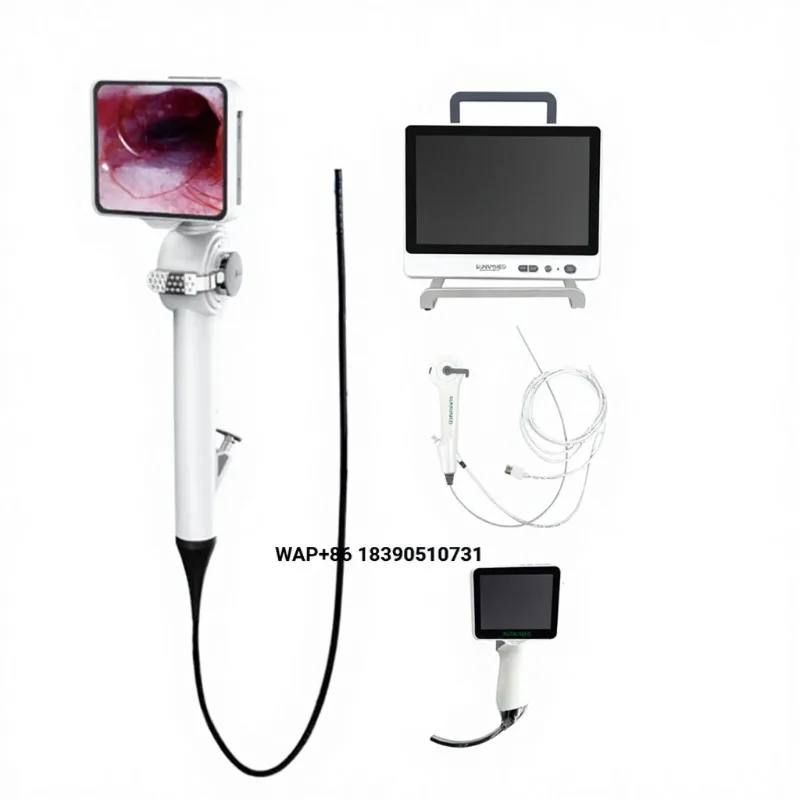 Portable ENT endoscope for endoscopic operation Laryngoscope for foreign body capture Flexible endoscope for human or veterinary