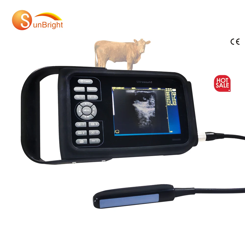 

pet dog pig sheep pregnancy ultrasound scanner veterinary hospital ultrasound