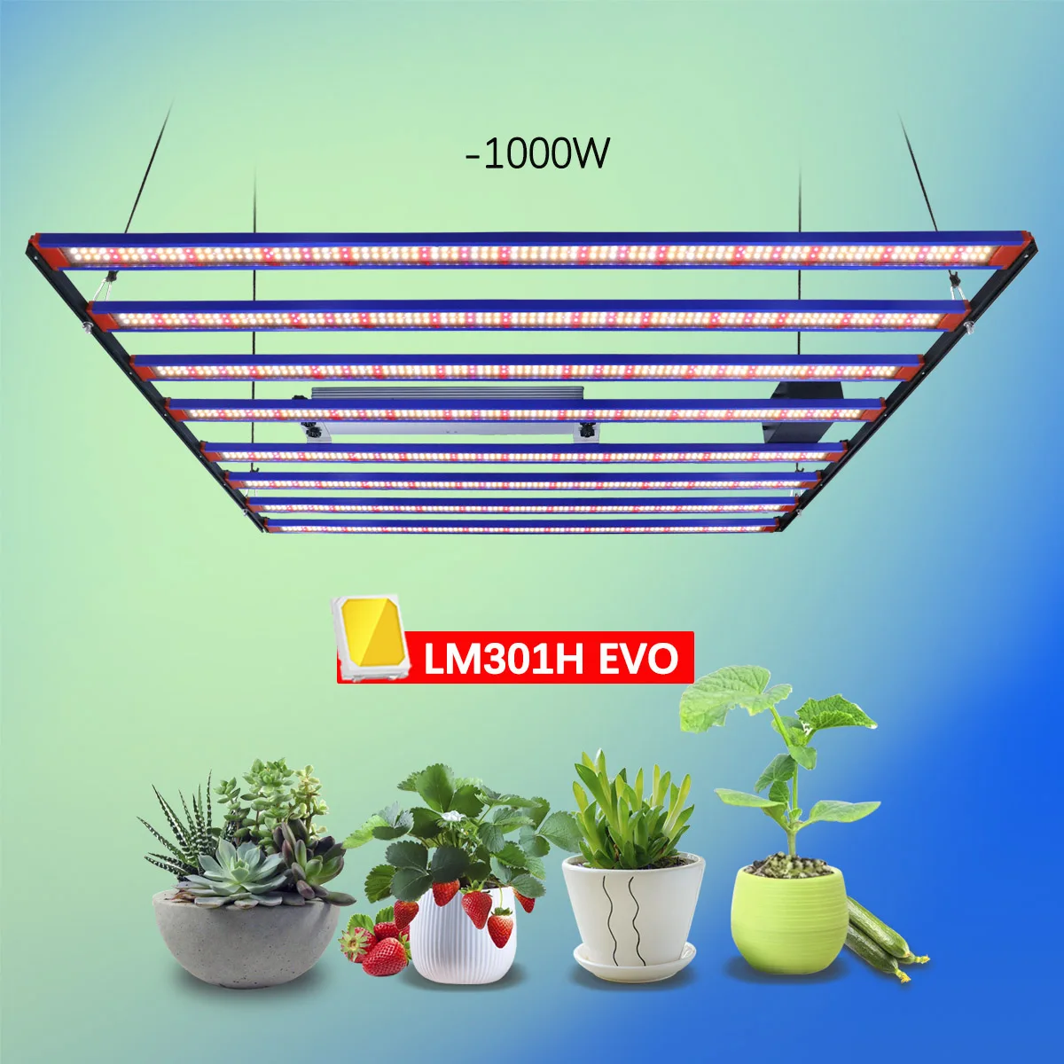 Vollspektrum 1200W LED Pflanzenwachstumslampe LM301H EVO UV Infrarot Dimmbare LED Pflanzenwachstumslampe – Detail 1