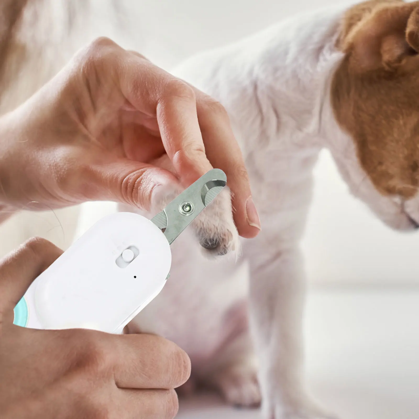 

1pc Led Pet Nail Clipper Charging Claw Trimmer 365Nm-370Nm Uv Light For Cats Dogs Puppy Wear Resistant Scissor Grooming Tool Pet