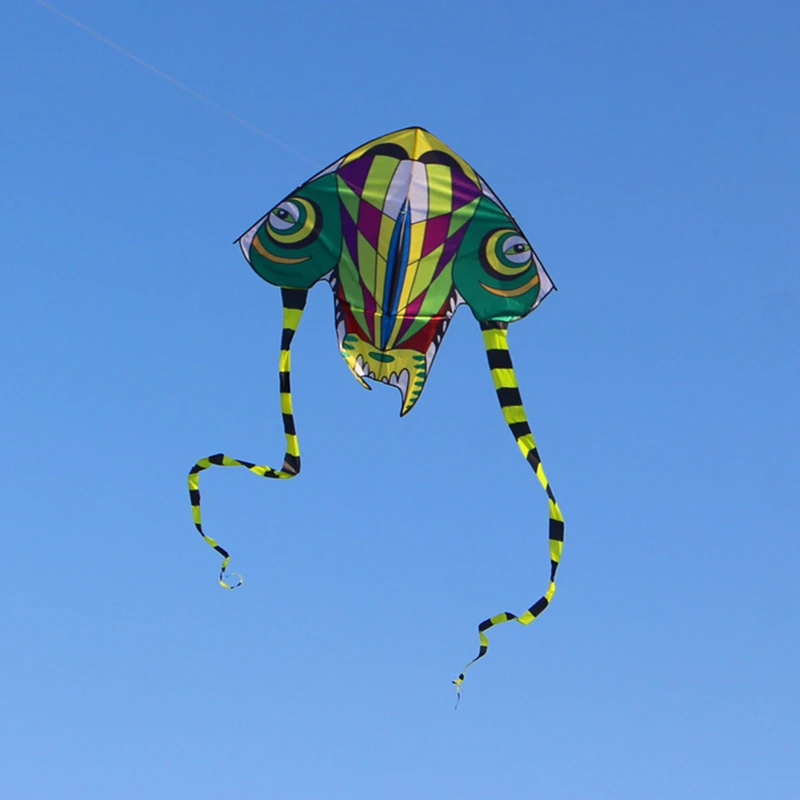 Cerfs-volants pour enfants, jouets volants, ligne unique, dragon, ensemble de vol, kitesurf, livraison gratuite