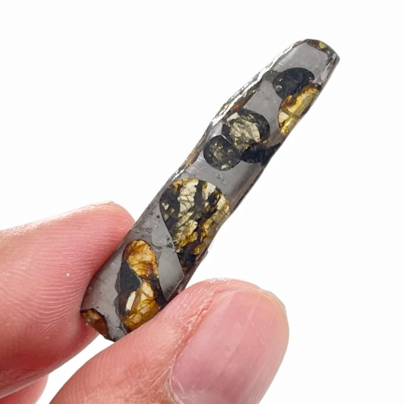 Natural Seymchan Pallasite Meteorite Polished Slice Real Space Rock Mineral Specimen For Gift Collection CA119