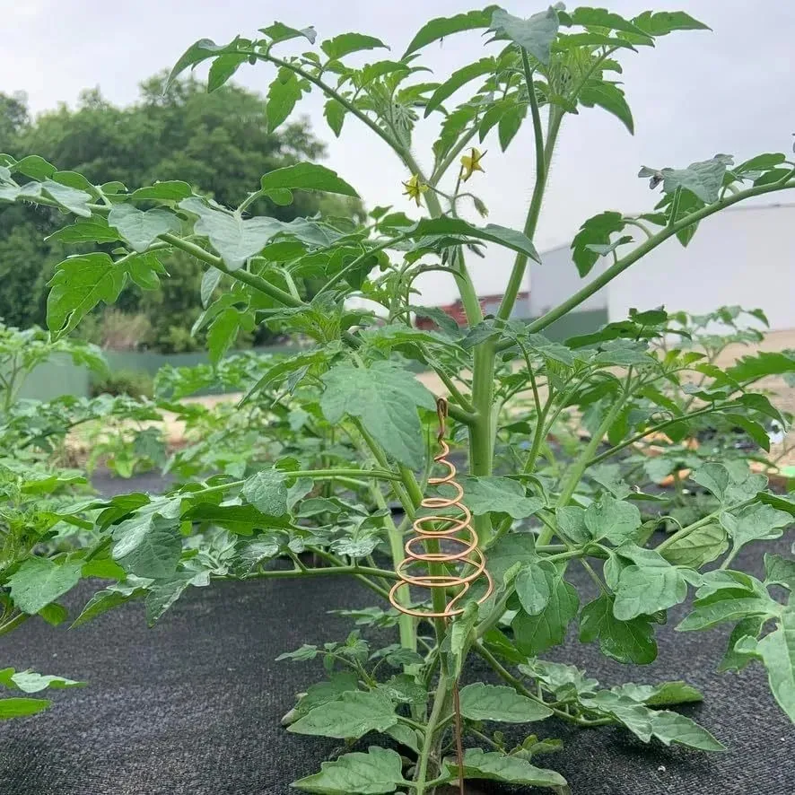 new  models electroculture spiral copper plant stake garden flower support rod promote plant growth gardening tool