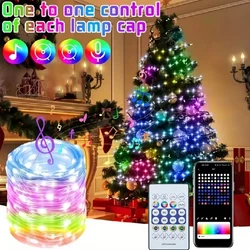 RGB-IC LED Light String USB Bluetooth&Remote WS2812B Fairy Lights Waterproof Christmas Garland Home Wedding Holiday Party Decor