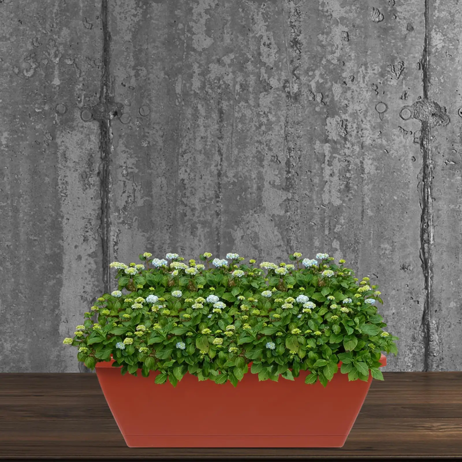 Macetas rectangulares para bonsái, macetas grandes de 43cm x 15cm x 17cm, macetas de plástico rojo de ladrillo, contenedores de jardinería, planta para balcón, 6 uds.
