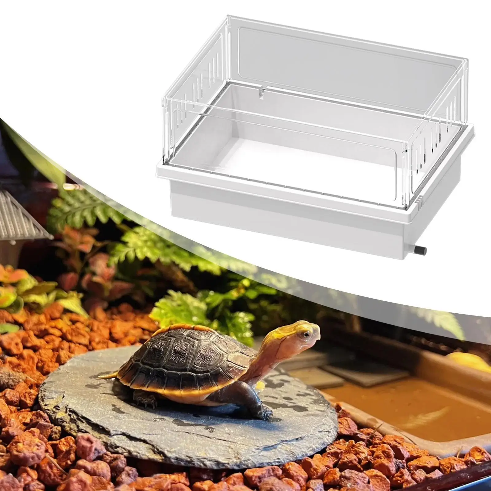 صندوق تغذية شفاف لخزان السلحفاة صندوق تربية برمائيات مع فتحة تصريف للزواحف الصغيرة حوض السمك تررم السلحفاة