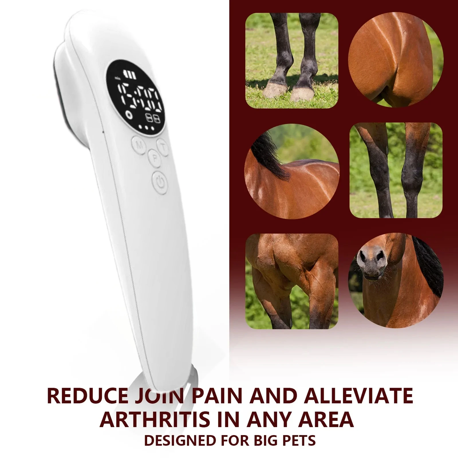 

Cold Laser Device for Horses 3x808nm & 14x650nm Red Light Pain Relief for Joints, Muscles, Tendons & Inflammation