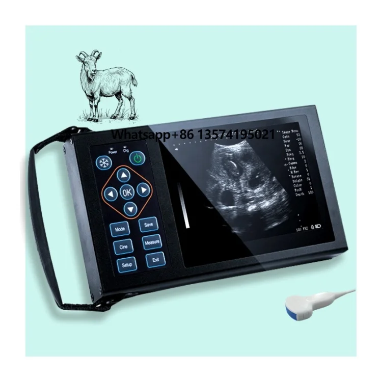 

Portable Full Digital Veterinary Medical Ultrasound Instrument for Sheep Pig for Veterinary Ultrasound Machine