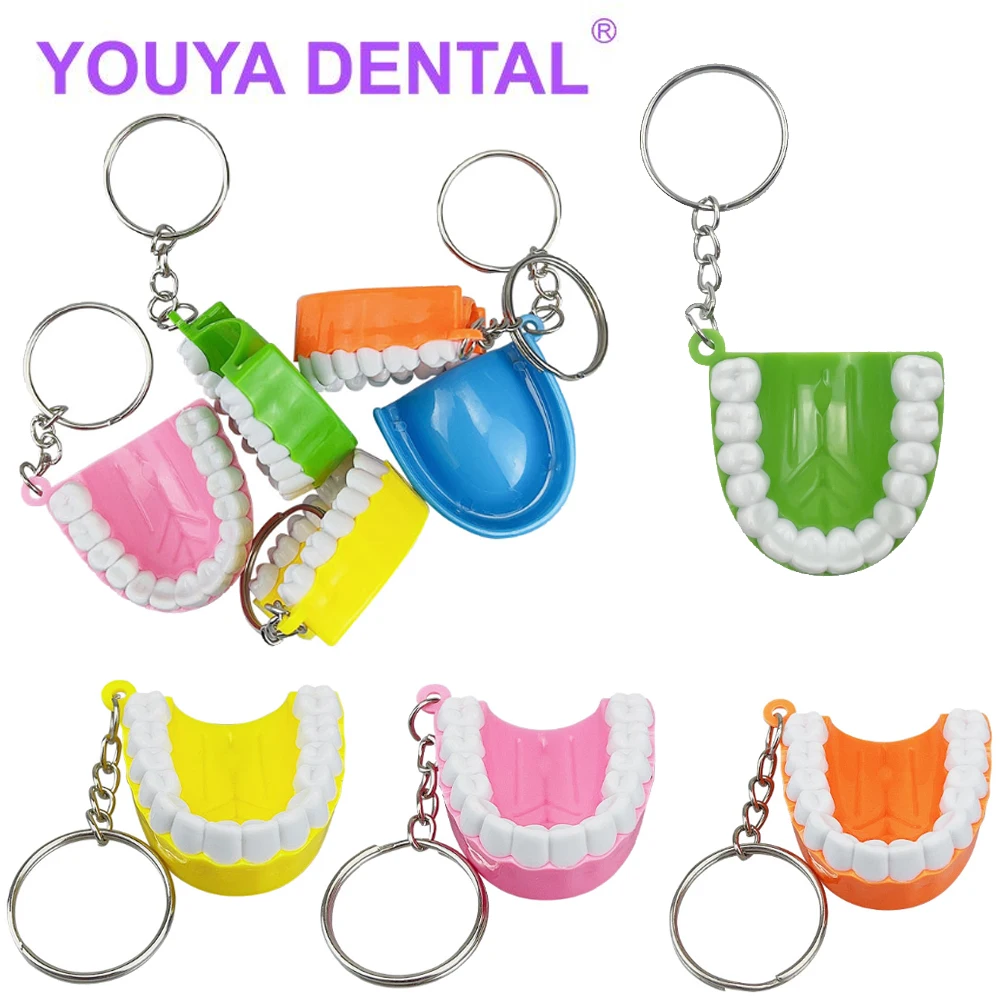 5Pcs Creative Fake Tooth Key Chain Resin Molar Upper Jaw Model Shape Denture Keychains Bag Pendant Keyring Jewelry Dentist Gift