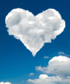 

Purchase link for the price difference in ocean freight charges for grinding vessels