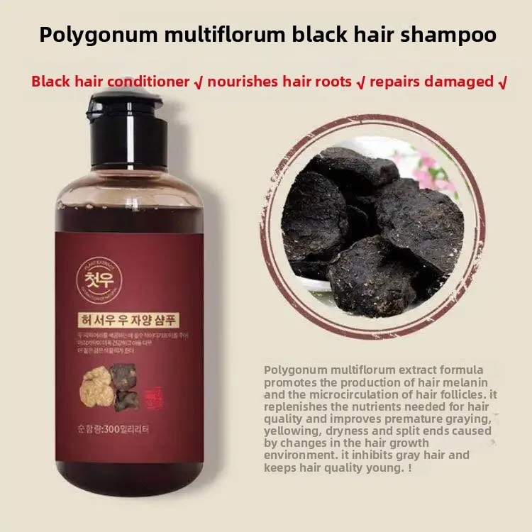 

300ml Polygonum Multiflorum Shampoo Dark Hair Scalp Nourishment Shine Enhancement Daily Nourishing Soothe Itchy