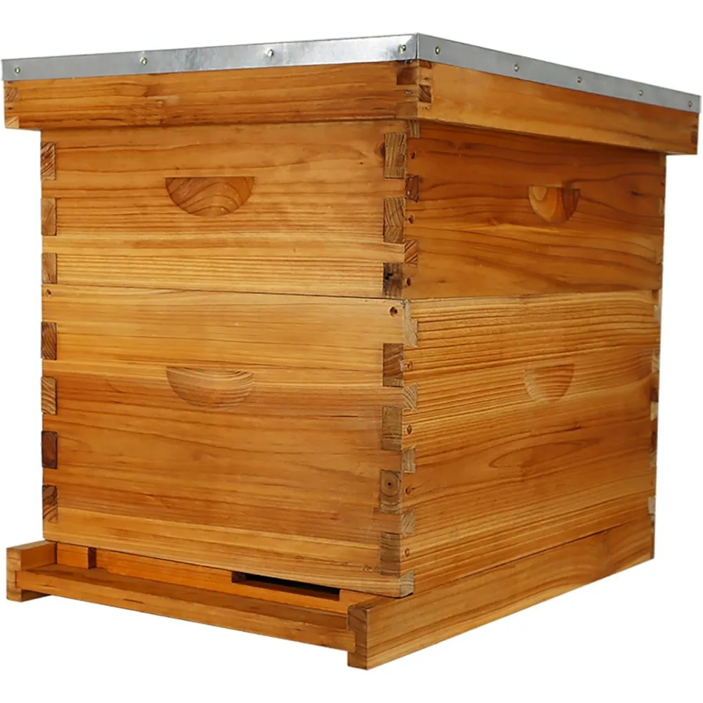 10-Frame Bee Hive Complete Beehive Kit Beeswax Coated Beehive Include Frames and Foundation Sheets for All Beekeeping Levels