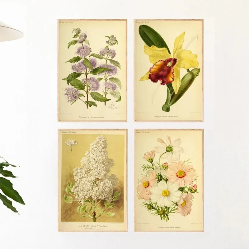 Antique Flowers Botanical Retro Floral Plants Posters Minimalist Print Canvas Painting Wall Art for Living Room Home Decor