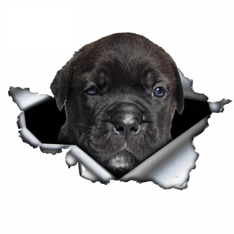 

Creative Tear Metal Dog Vinyl Car Styling Car-Stickers Decals Cover Scratches for Bumper Bodywork Windshield Suv Decoration Kk