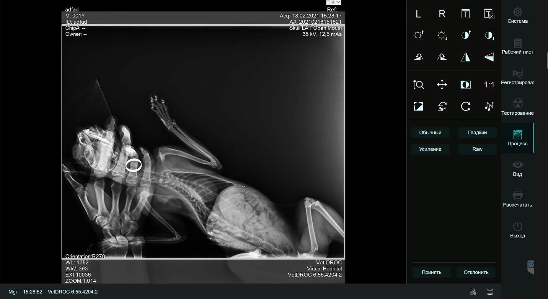 2024 Cyfrowy wykrywacz płaskich paneli Xray DR FPD RX 14 * 17 139um dla ludzi i weterynarii