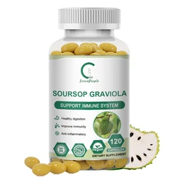 Soursop Graviola Capsules Support Emotional health Sterilize & Strengthen immunity