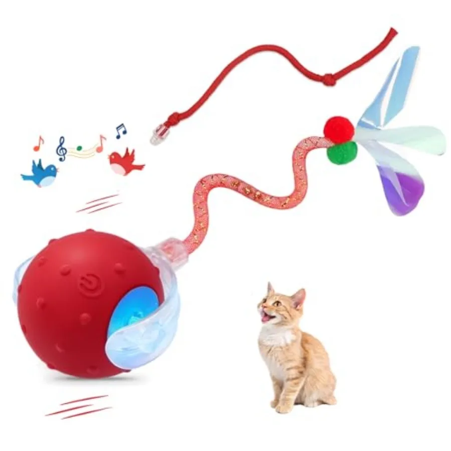 

Interactive Cat Ball Toy, Chirping Motion Activated Electric Rechargeable Cat Toy with 2 Replaceable Tails, Self Play Hunting R